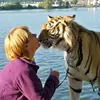 Brigitte & Tigres
