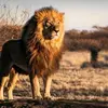 wadani.somaliyeed86