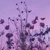 julie_nn_m