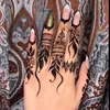 Mughalzadi 🦅
