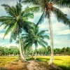 Cảnh đẹp Miền Tây 🇻🇳🇻🇳🇻🇳