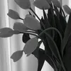 chenaffliator