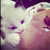 yaya_62424
