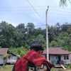 diriurangdyk