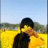 user8576919884126