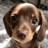 valaki_768