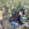 hin.vn720
