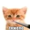 ame1pos