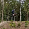 tomwatt2_