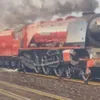 nutcracker502