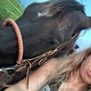 studhorse2025