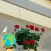 ma.hiu69