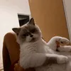 itownsulh6t