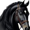 user58322482016327