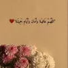 user1236988316709