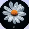 iowaib3