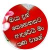 rasi.rasi83