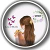vindesitara4