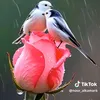 user2660163669220
