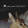 al_jafoool