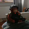 monke.19
