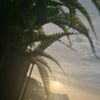 ar_g1xr