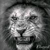 ward_24ward