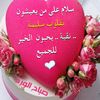 الصقر الجريح