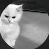 qwertyuiop.hsih