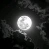 user6814281926060