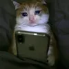 moha_phaa9