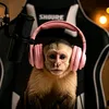 KIBO ASMR 🐒