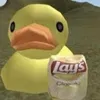 lays70059