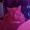 briankat8
