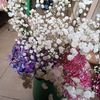fitrifitri39405