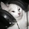 _l1twinsky_