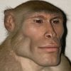 mightmonke