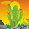 cactusfinds