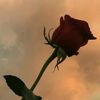 lizbeth45_23