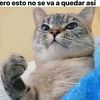 floresilla58
