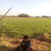 yehtet19080