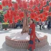 t.hong.l.th8
