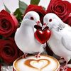 user5533044149437