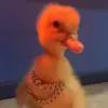 b1ng_bong0