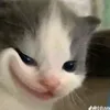 xoi.keo6