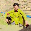 muhrullah