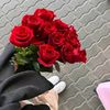 user1801719600710