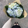 mymy76102