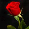 naim.naim673