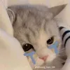 sad